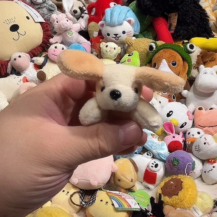 毛绒挂件哈哈哈哈哈哈哈哈
