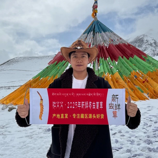 [定向链接A]2025年新鲜冬虫夏草现收现发鲜虫草