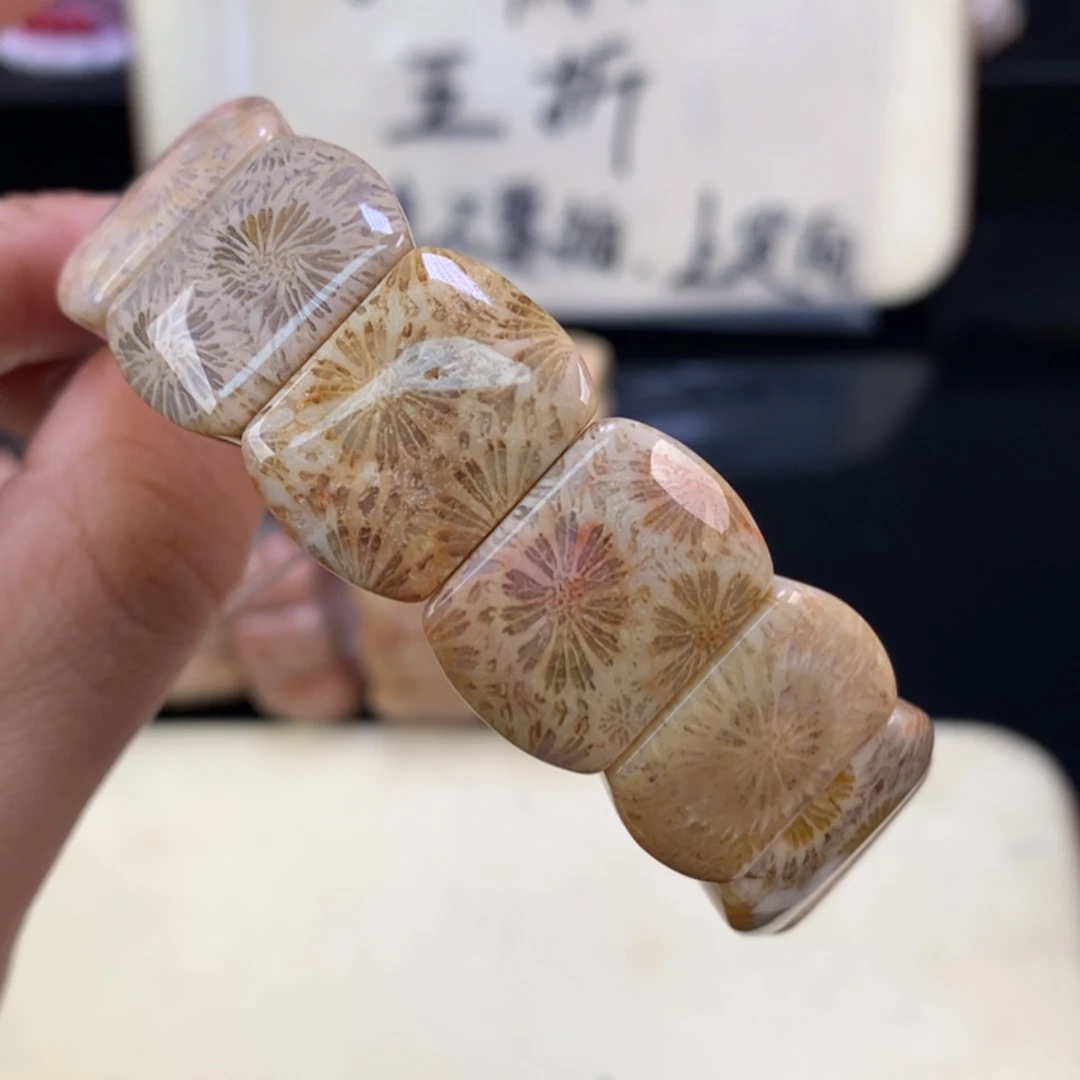 硅化珊瑚（珊瑚玉）未镶嵌吊坠(赠链)五折大花（55号）