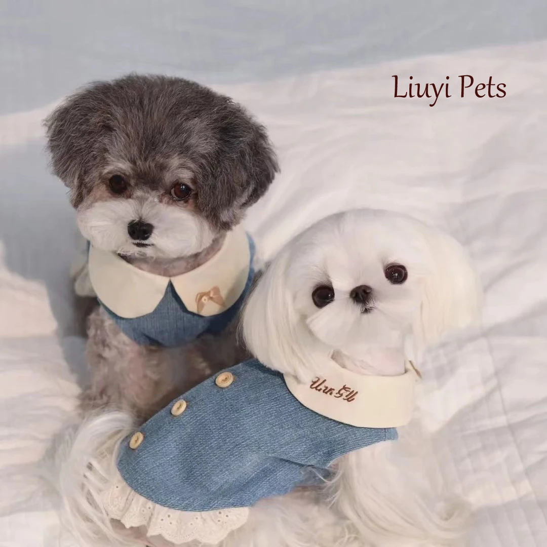 宠物衣服断码清仓【NO退NO换】