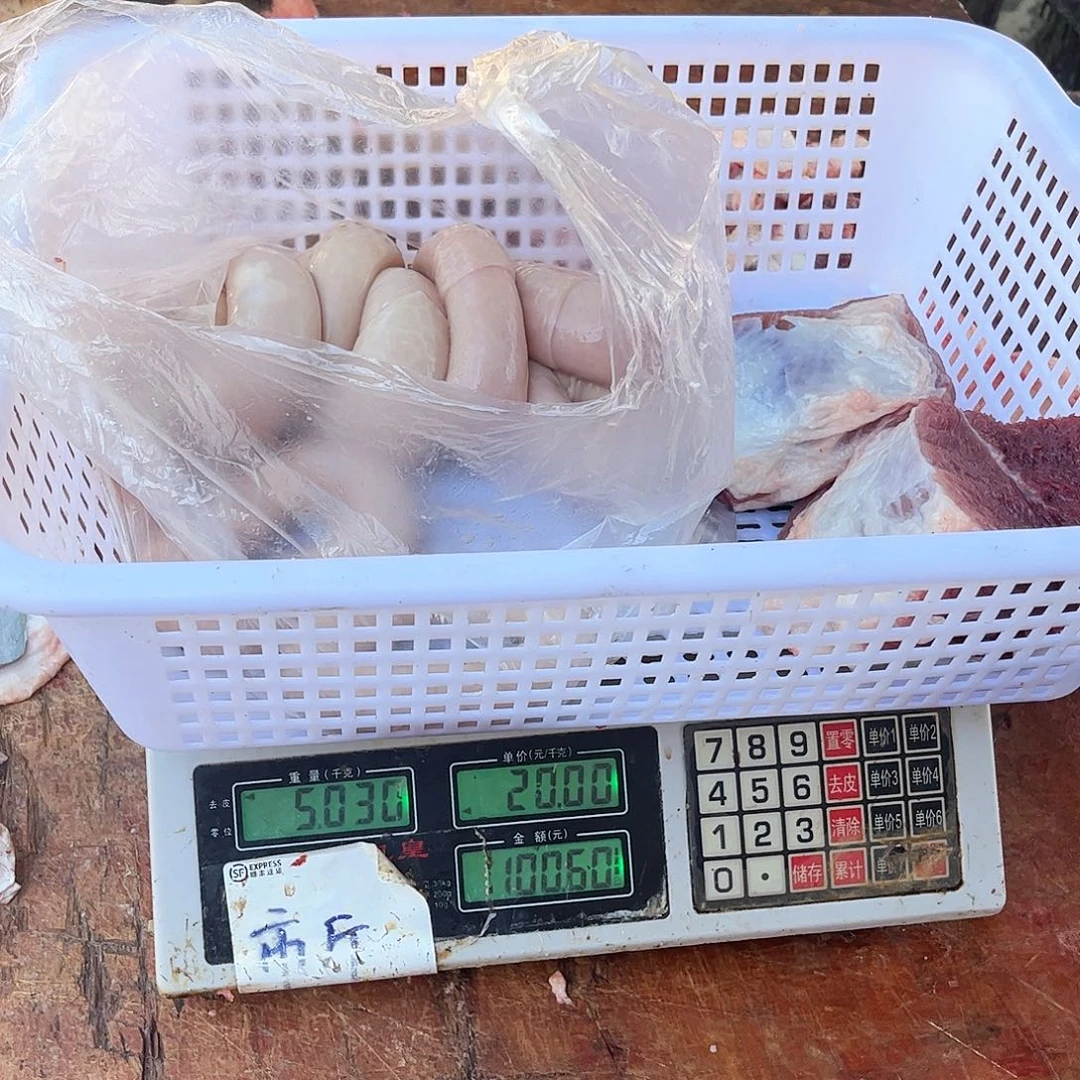 中国大陆60包装苗*