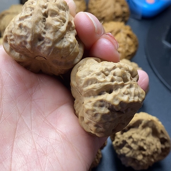 龙脊菩提吊坠蛙41