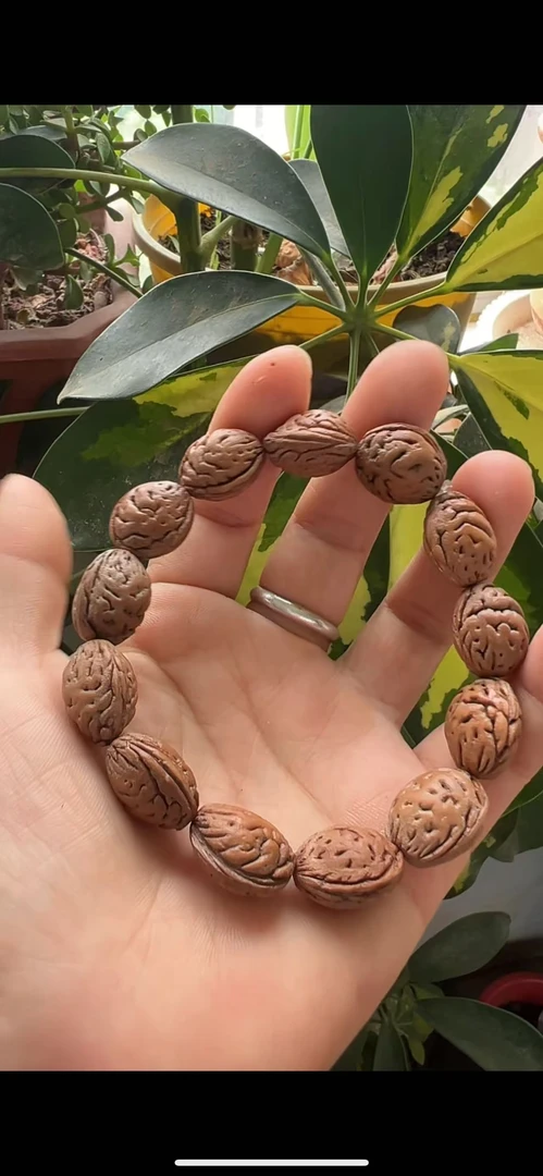 沂蒙山山上采摘东南枝桃枭手串13颗