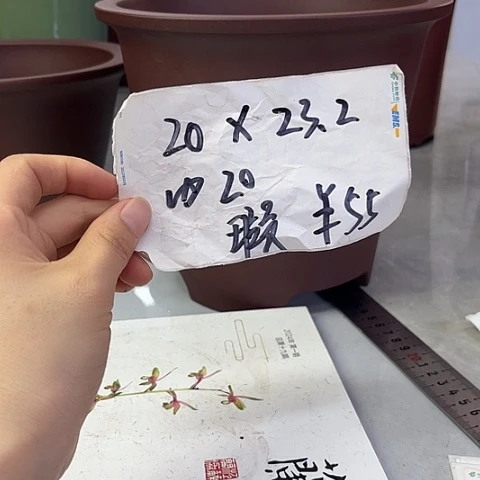 紫砂25558558885658887