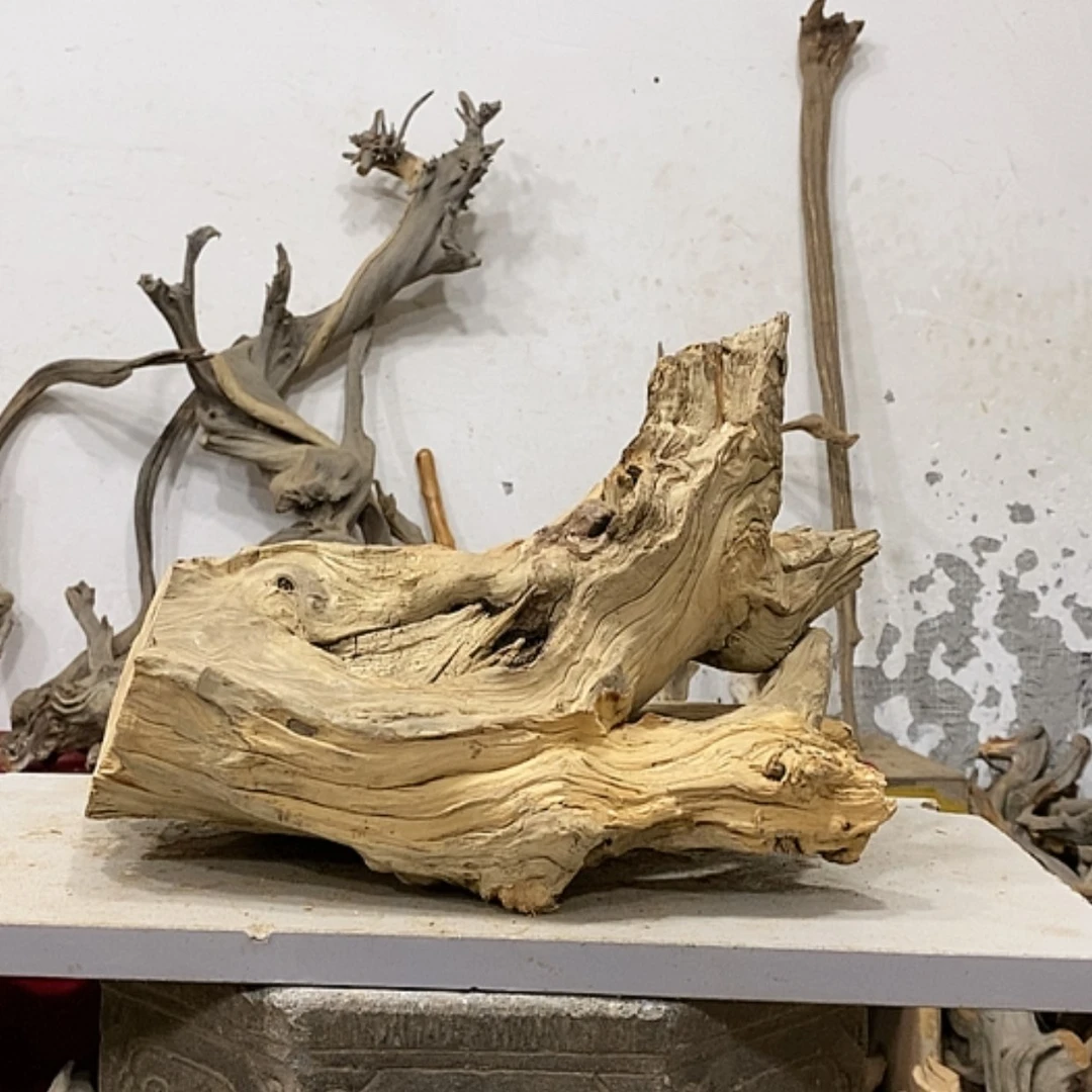 【闪购商品】柏木展****）我们都是好孩子