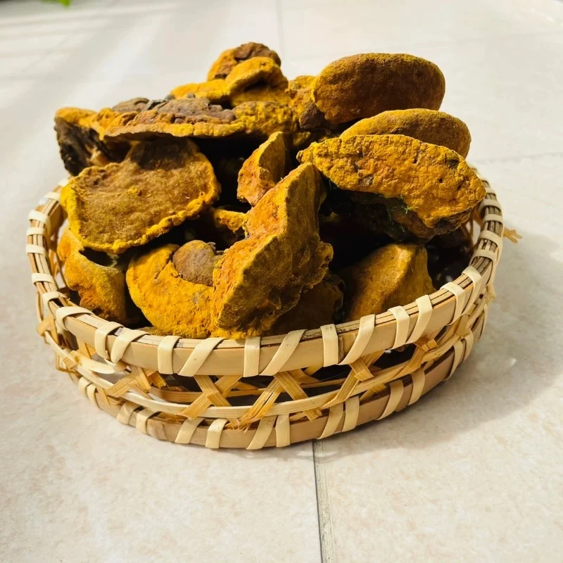 【静静助农山货】桑黄 泡茶泡酒品质甄选可搭红枸杞