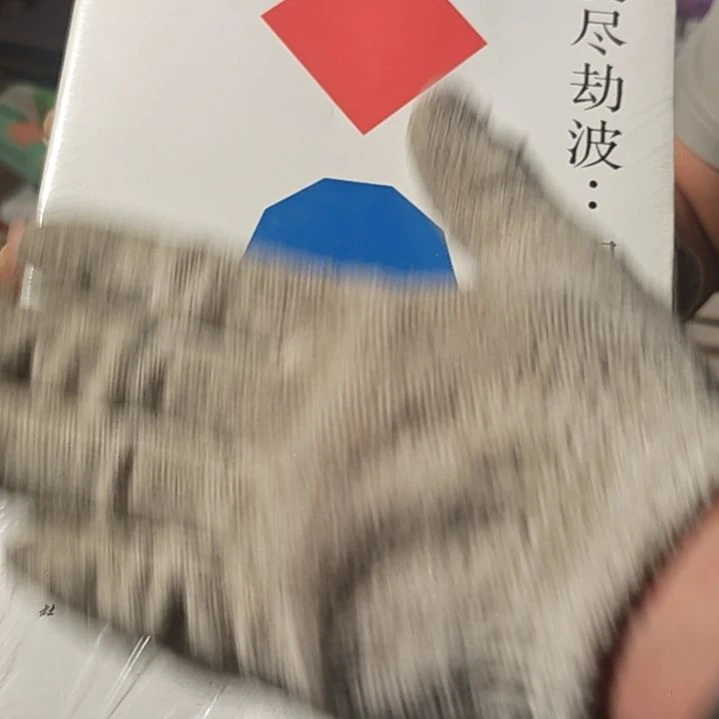 周氏三兄弟平装库存书