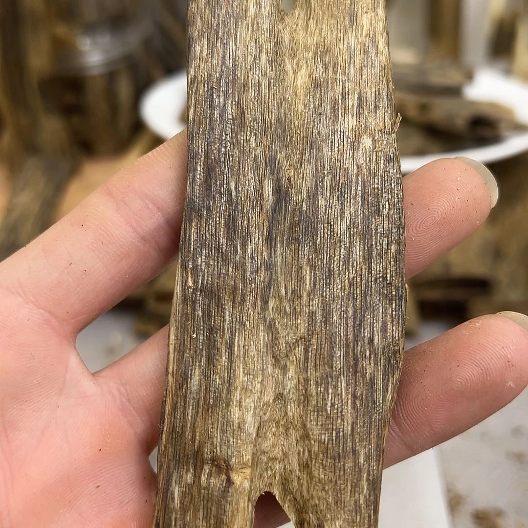 奇楠精勾干料21克➕