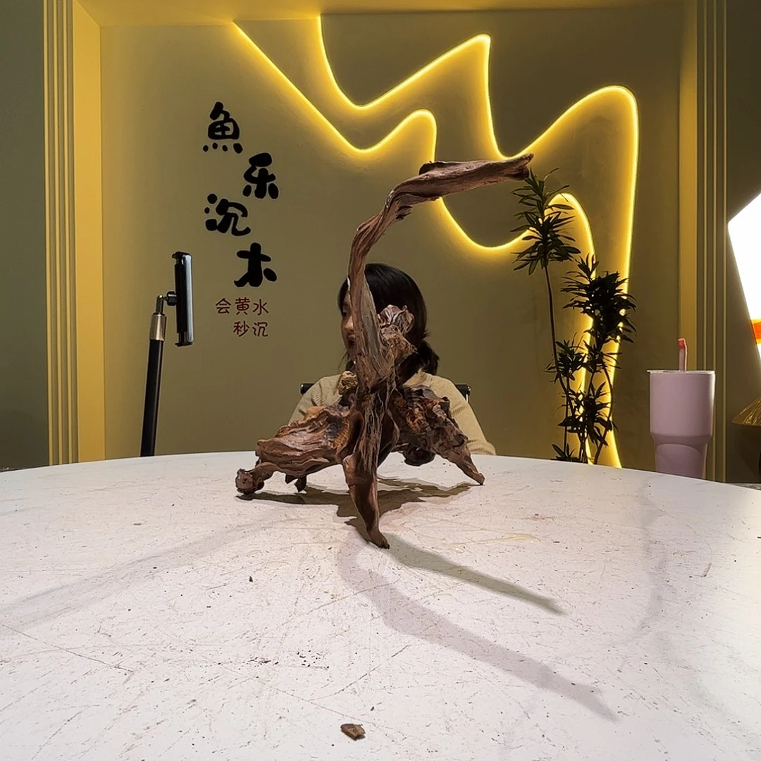 瓦当大**?会黄黑红水576。67 28 28