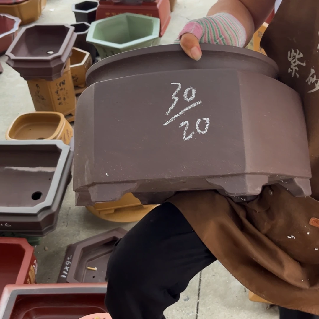 紫砂花盆盆景艺术