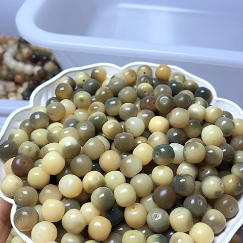 白玉菩提吊坠白玉菩提11青提桶50颗卡灯牌宠10颗