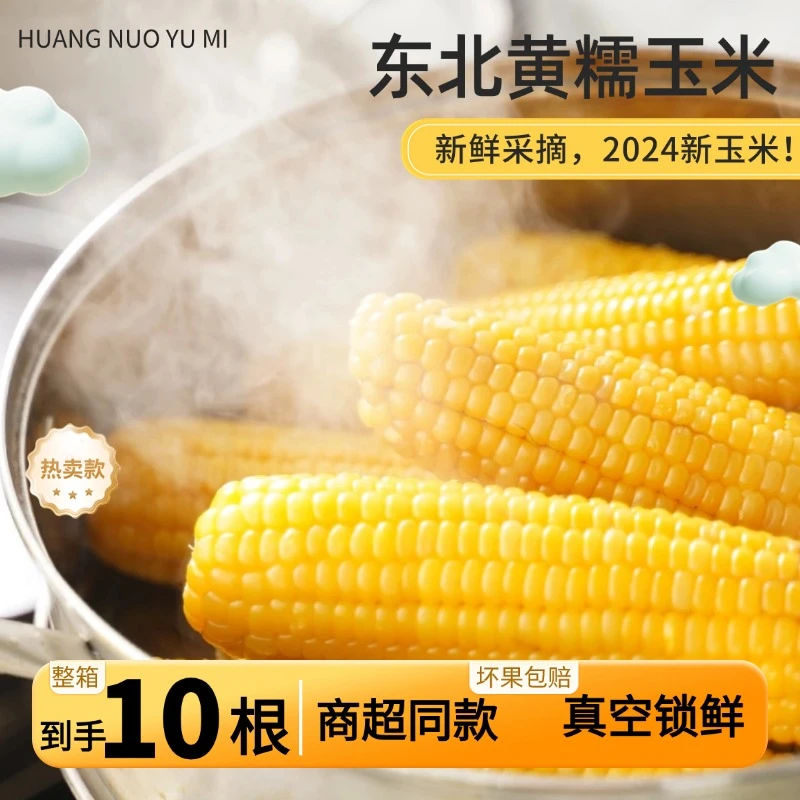 2025黄糯玉米软糯香甜甄选10根整箱保6斤金铝膜真空包装粗粮玉米
