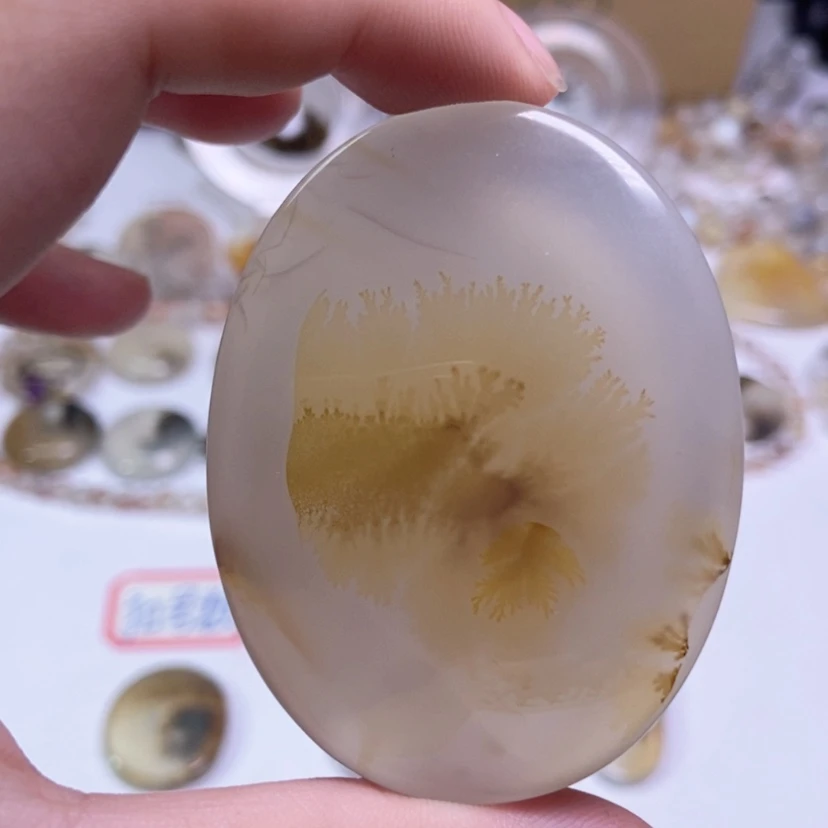 【闪购商品】玛瑙/玉髓颈饰合金