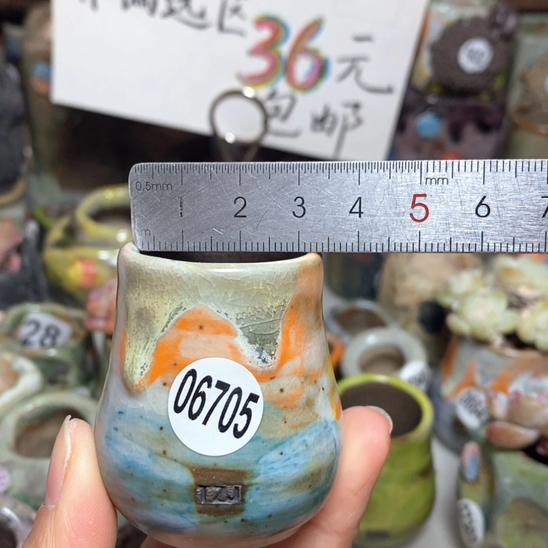 花盆拍5送一个小礼物