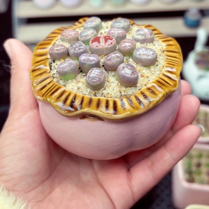 零下地区记得拍保温箱6020