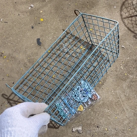 哈哈我也是很喜欢的