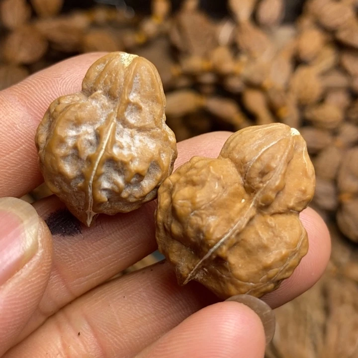 香榧木拿姐工艺流程100