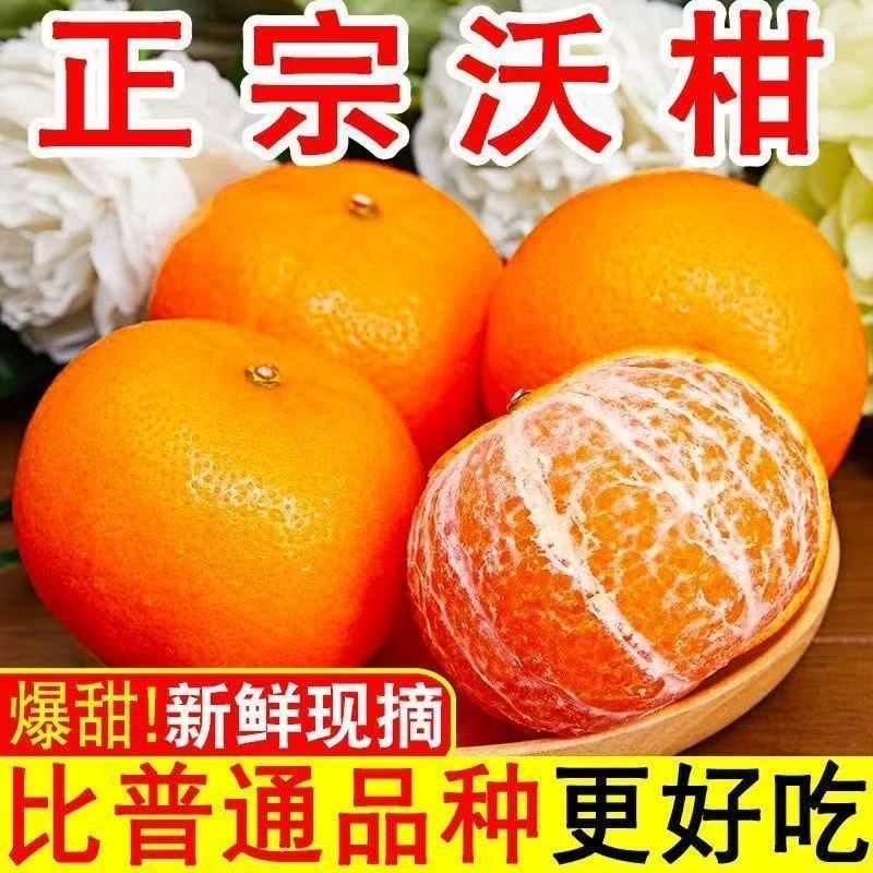 A爆甜正宗广西武鸣沃柑橘子新鲜水果当季整箱批发桔子超甜薄皮