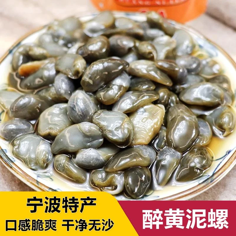 泥螺即食罐装黄泥螺鲜活特大新鲜醉泥螺罐头无沙宁波海鲜舟山特产