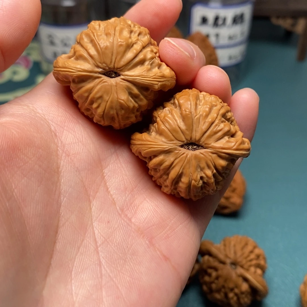 核桃36尺招财公子修