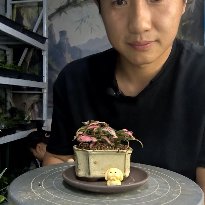 ?****?中青园艺一物一拍198