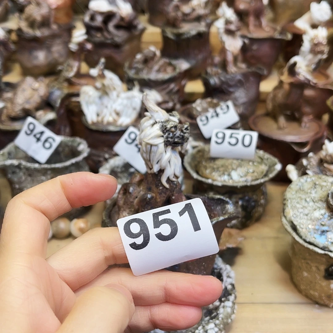 人***康瓶柴烧粗陶手捏宝瓶