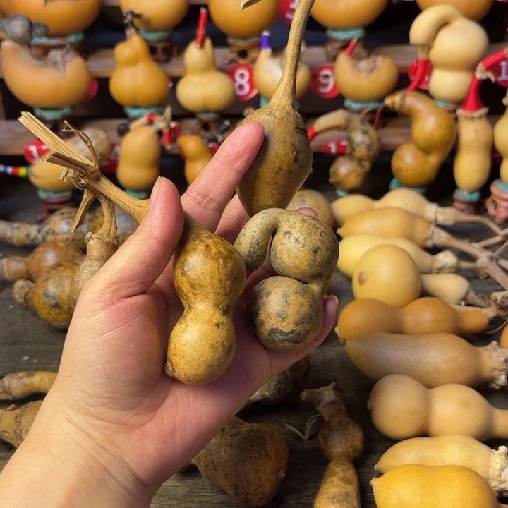 简***的花皮葫芦天天开心