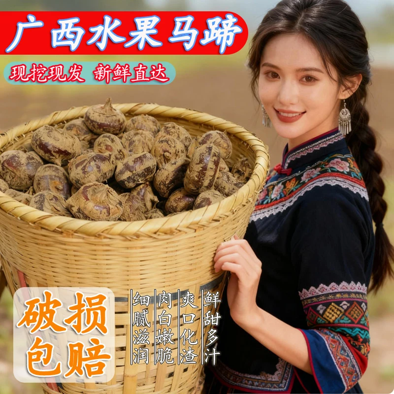 正宗广西现挖马蹄荸荠新鲜水果当季特产荔浦马蹄带泥保鲜5斤大果