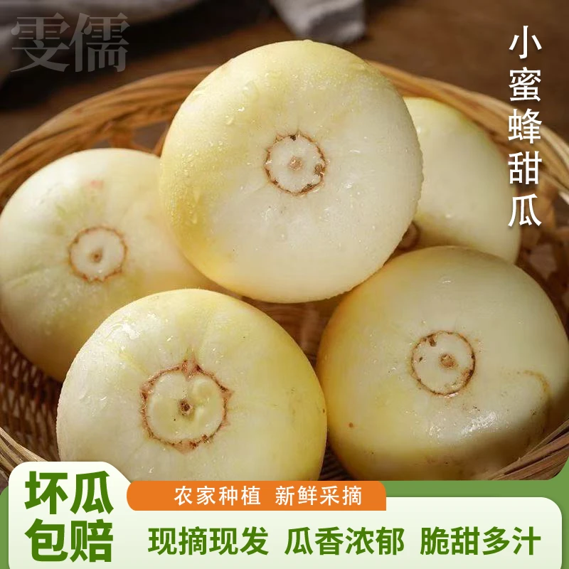 【新鲜头茬】山东小蜜蜂甜瓜小蜜罐早甜脆美味脆爽当季新鲜水果香瓜