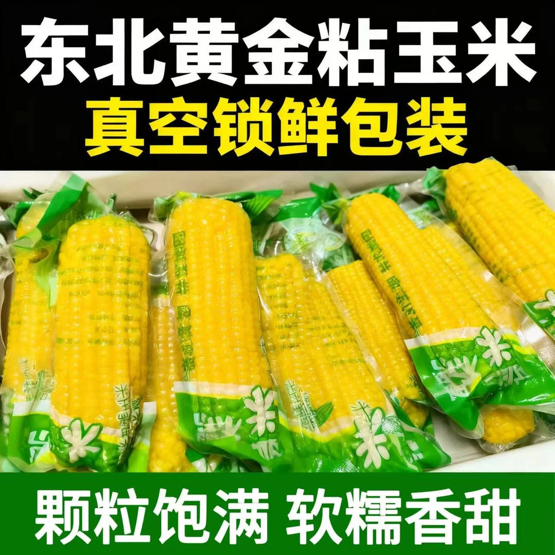 东北黄糯玉米真空锁鲜非转基因粗粮早餐一箱9棒。6斤左右母女