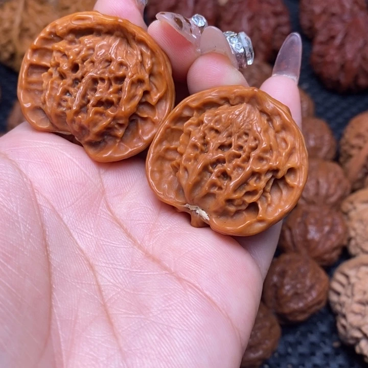 秦岭野生00000000057