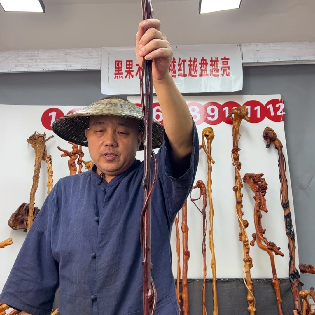 自***然黑果木其他黑果木300