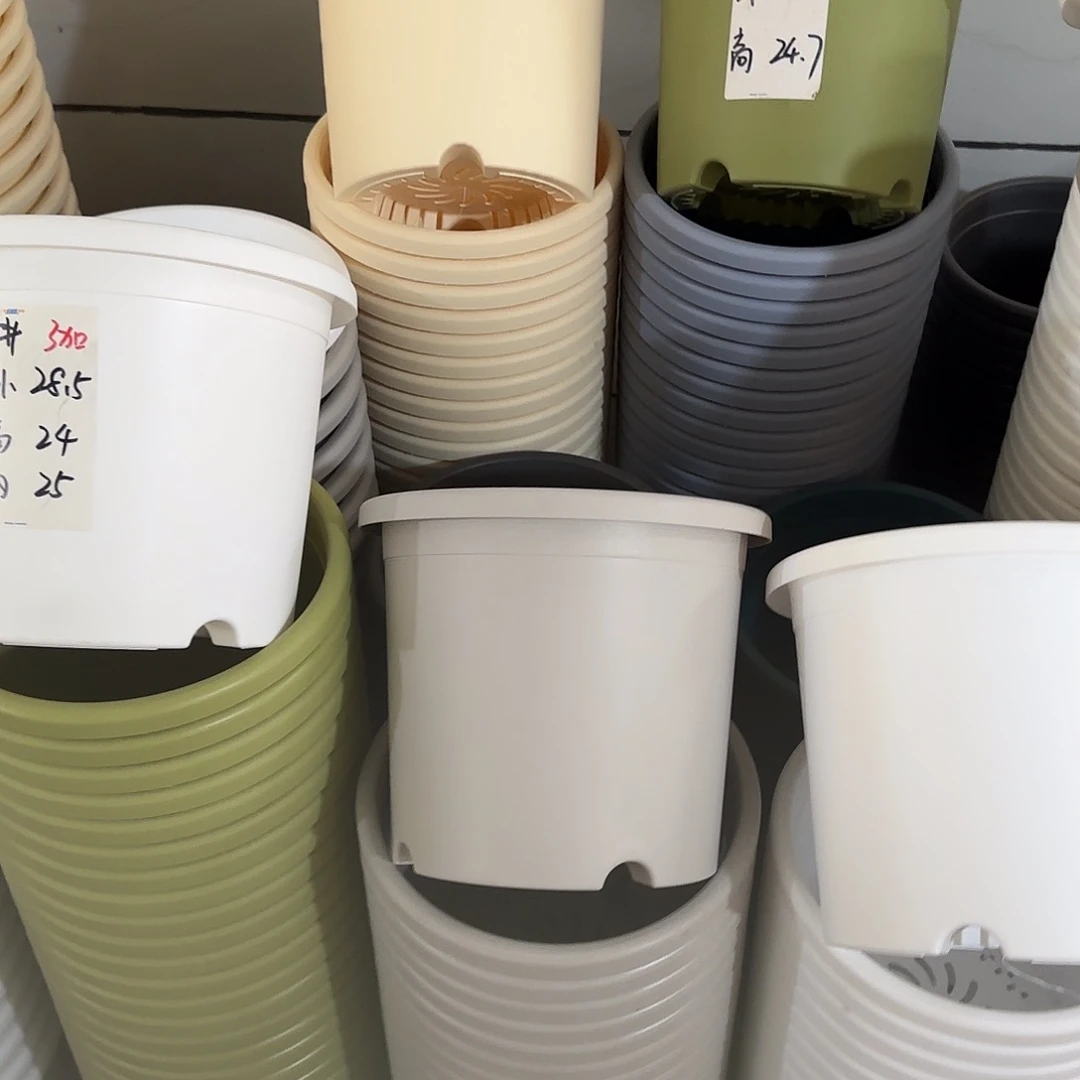 微瑕5号6个无托，灰白