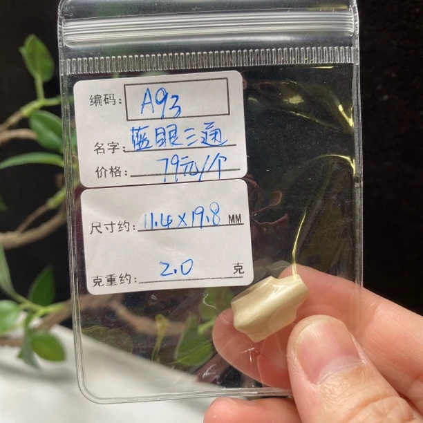 A93猛犸牙蓝眼三通