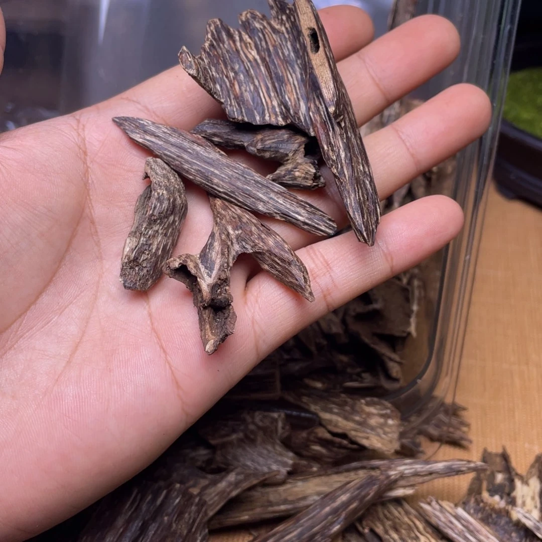 太***仪香榧木11克海南大山蚁漏香