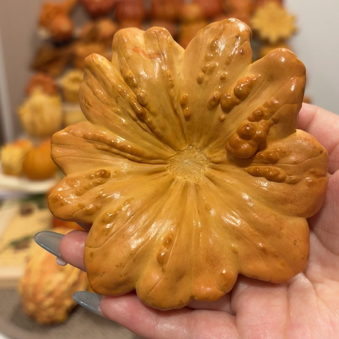 墨西哥葫芦帽子款大花