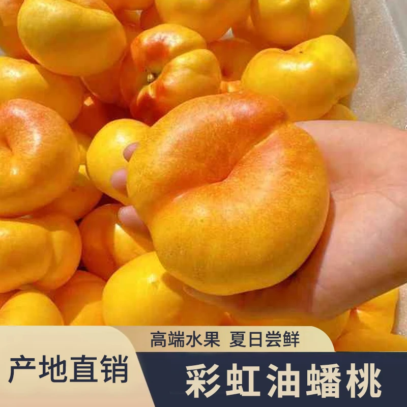 【顺丰包邮】黄金彩虹油蟠桃新鲜应季水果皮薄甜嫩多汁现摘现发