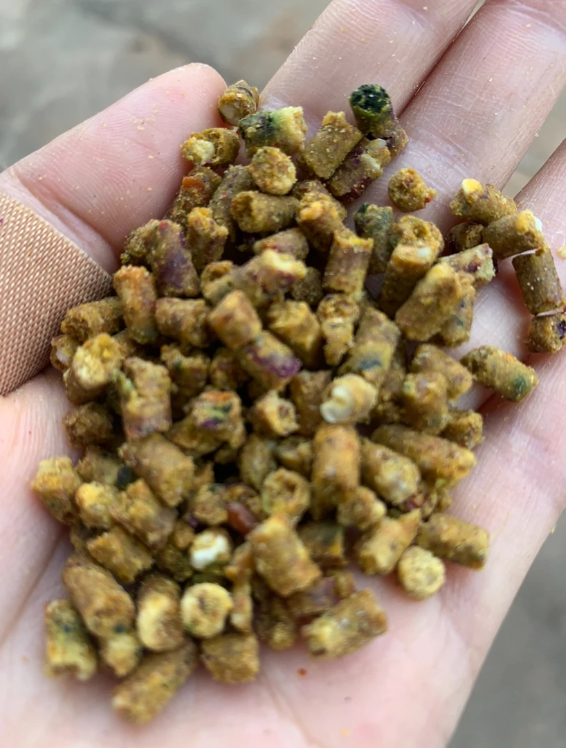 精致鹦鹉粮食 金宝宝