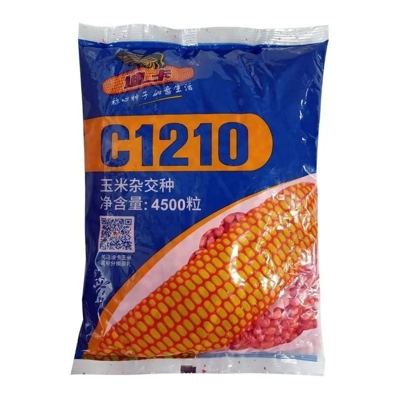 迪卡C1210玉米种，耐高温，抗茎基腐，抗倒伏