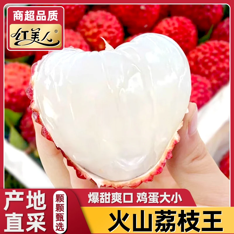 【冷链速运】荔枝王香甜福建产区现摘新鲜多汁当季水果DJ