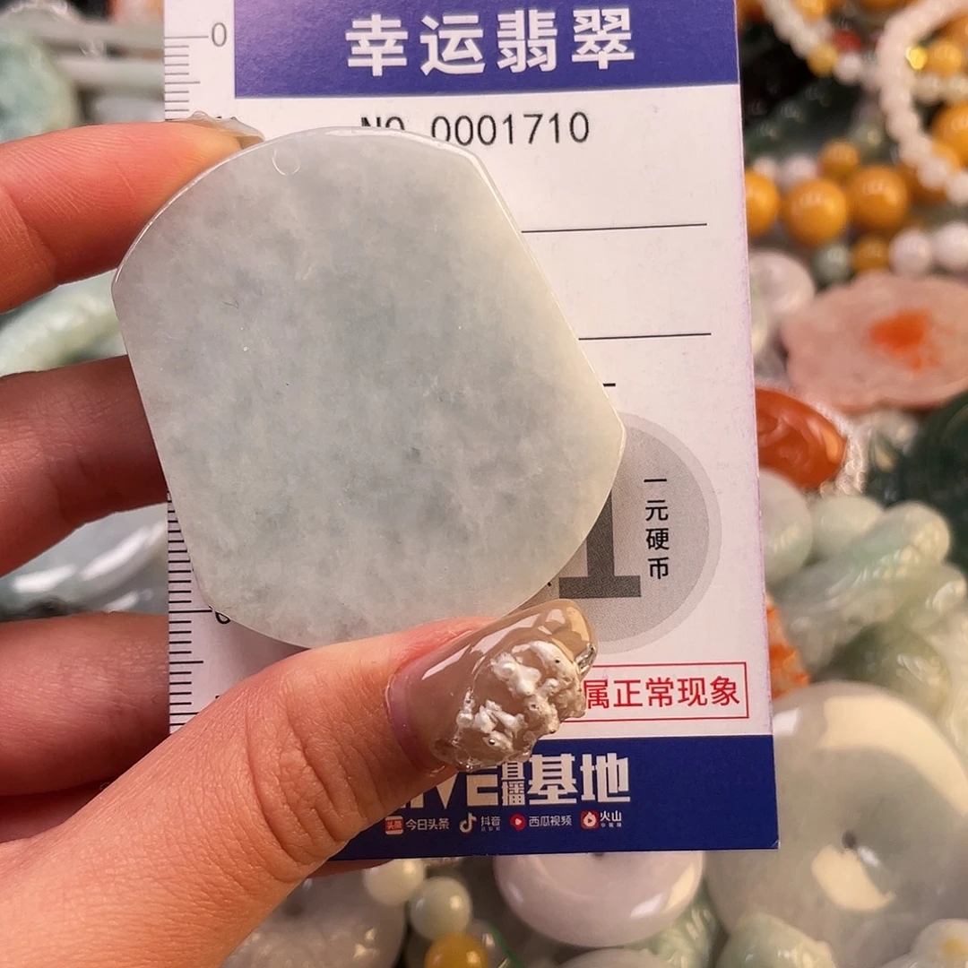 翡翠未镶嵌颈饰1710