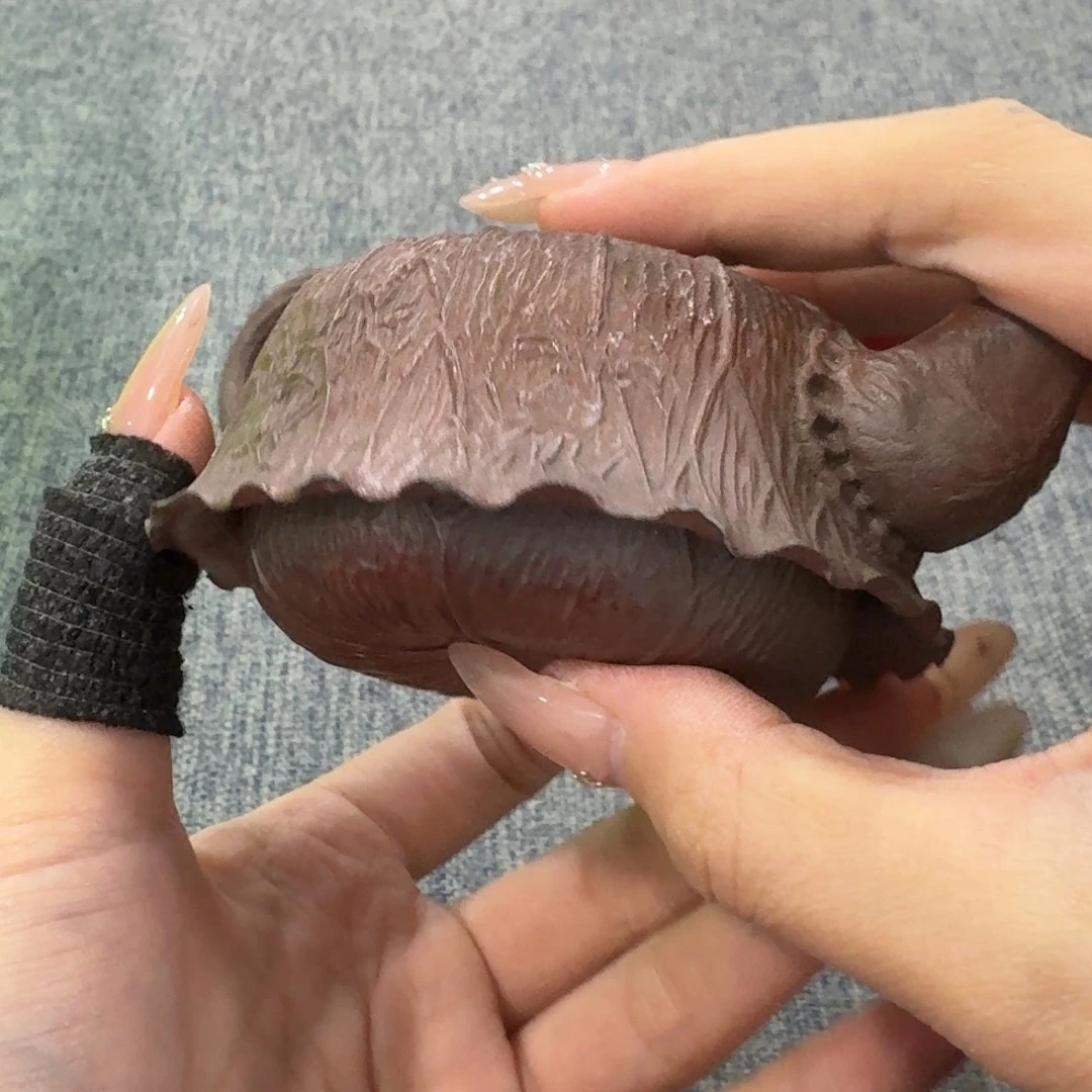 非常美丽漂亮的物品