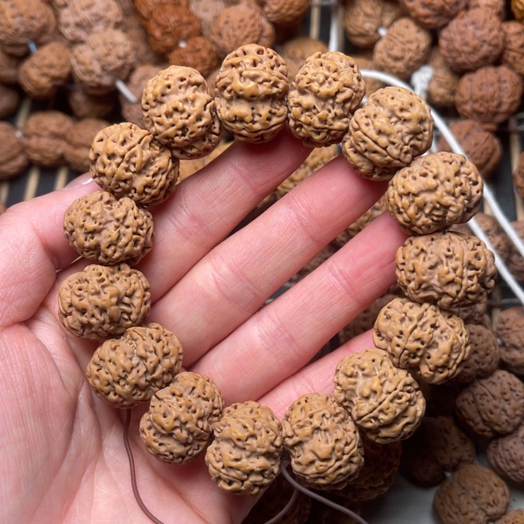 菩提尼泊尔大金刚原生态梅花21