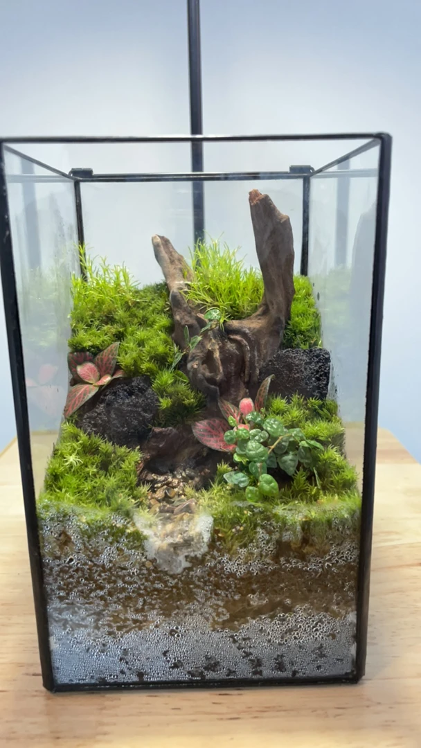 方寸之境·桌面景观