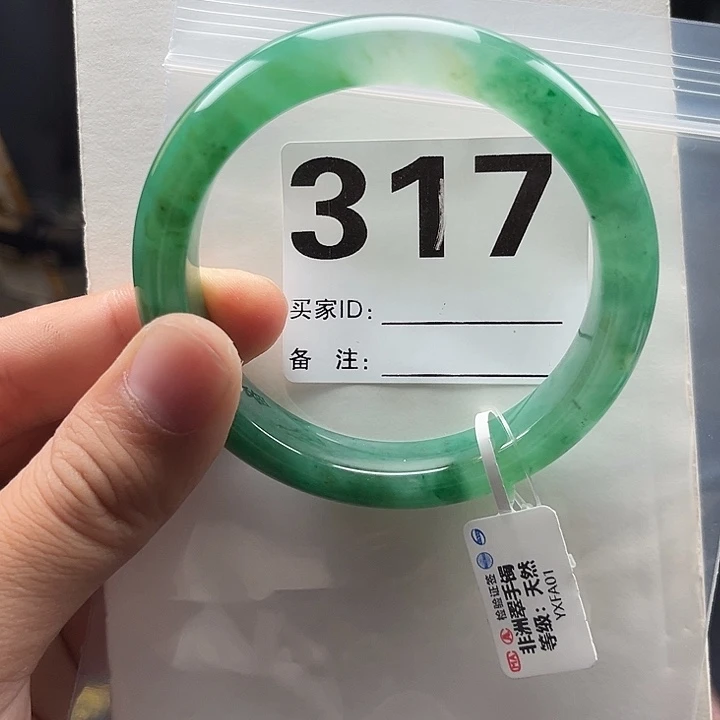 石英质玉（非洲翠）手镯未镶嵌317圈口5960