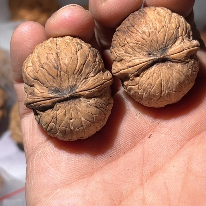 文玩核桃吊坠滇西铁核桃30
