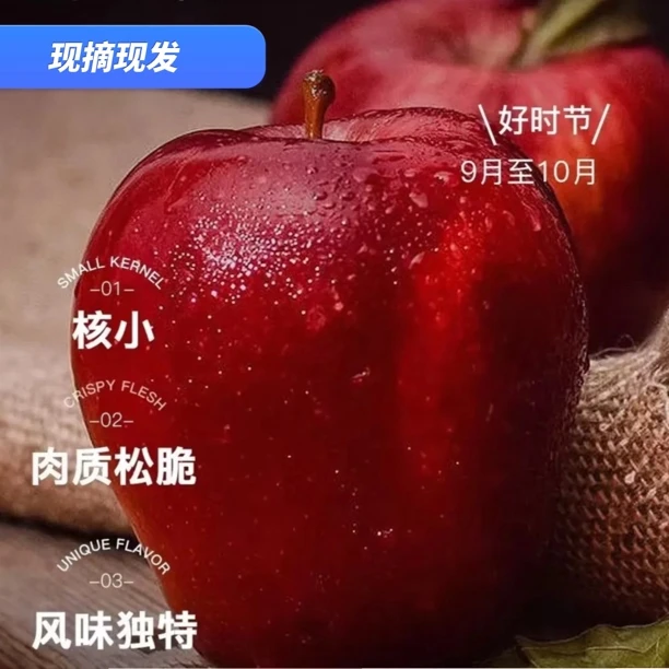 【中果福利顺丰】天水秦安红元帅红星花牛苹果新鲜水果当季现摘