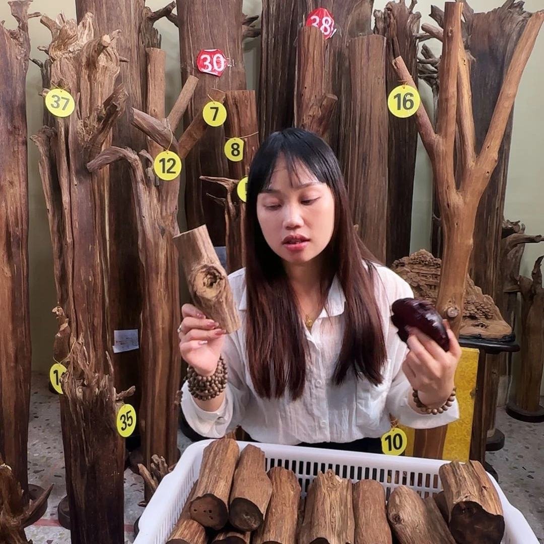 沉香沉香碎屑天然沉香原材料香料熏料