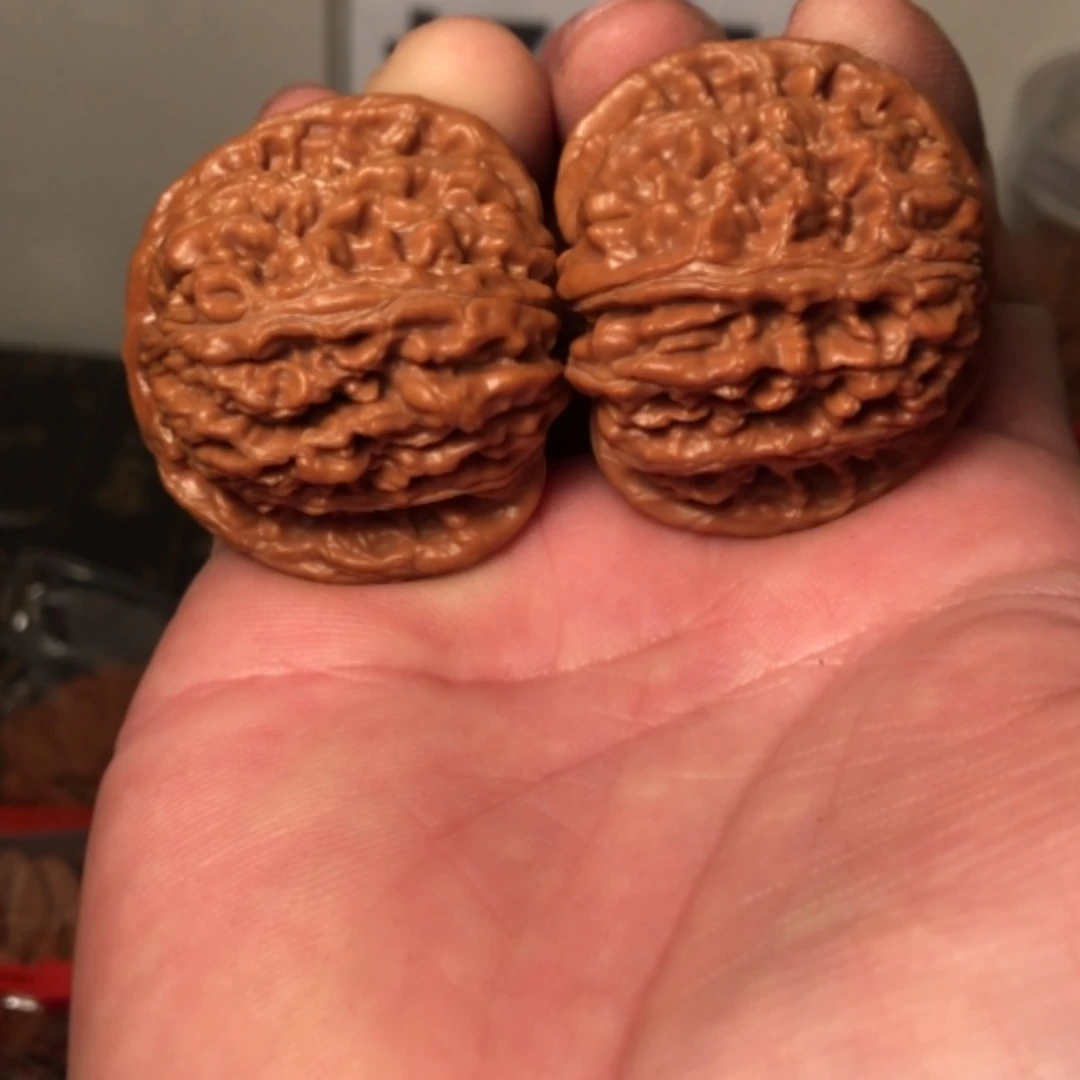 【闪购商品】文玩核桃把件四座41