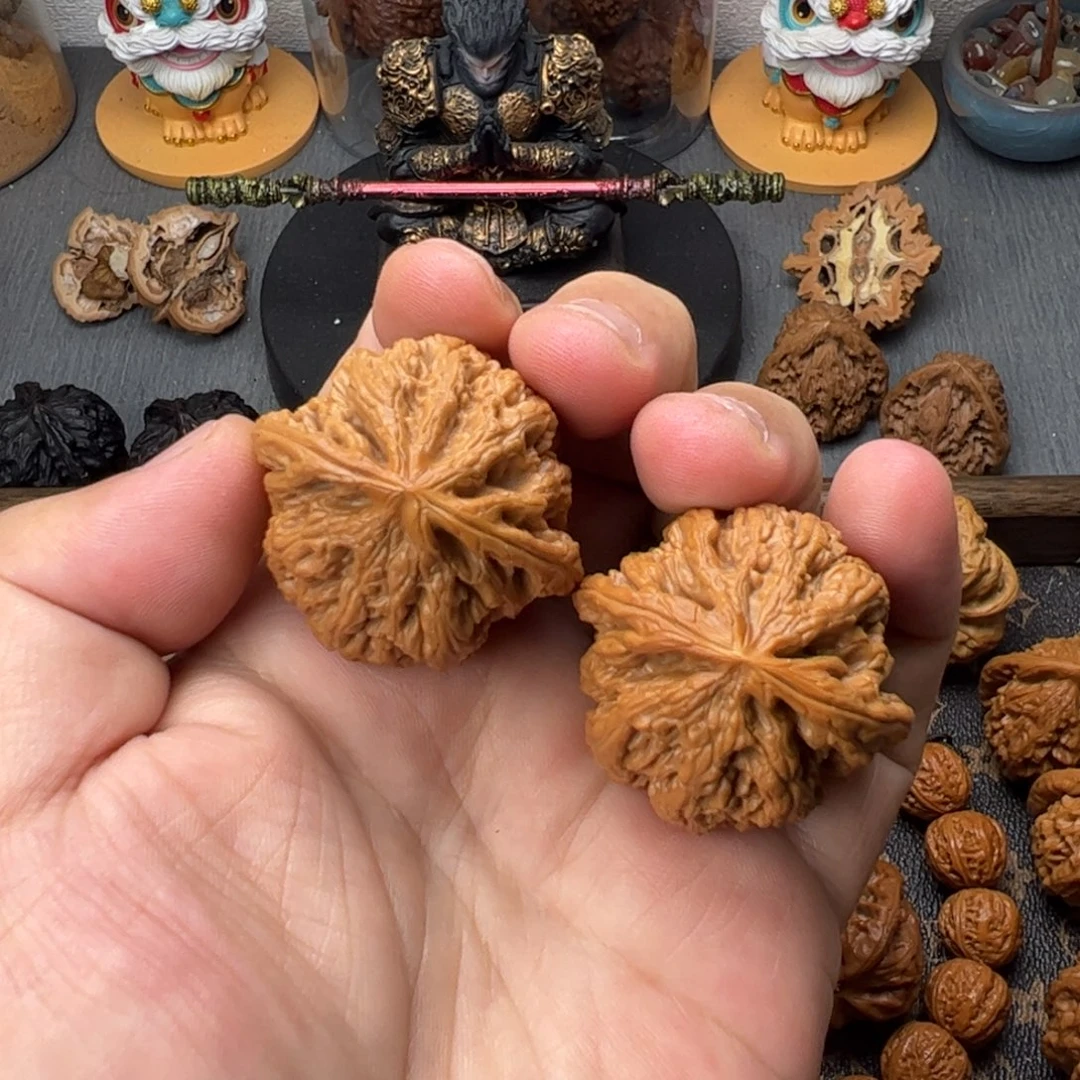 40平谷大粗筋有修